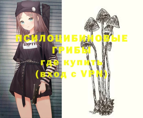 a pvp Коряжма