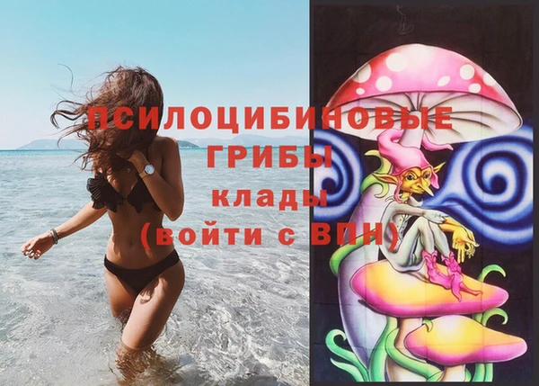 a pvp Коряжма