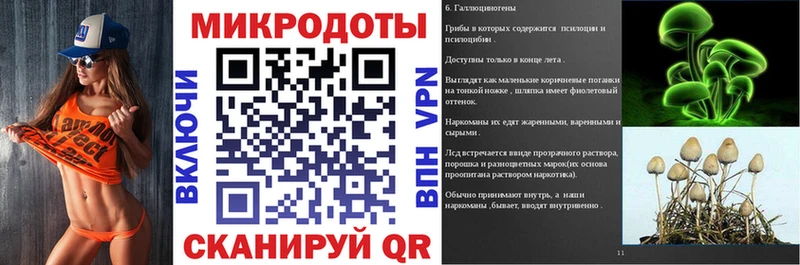 Купить  Пионерский  Галлюциногенные грибы Psilocybine cubensis 